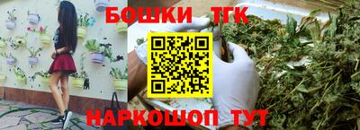 индика Будённовск
