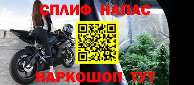 индика Будённовск