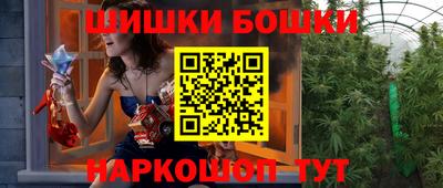 индика Будённовск