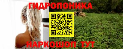 Альфа ПВП Славянск-на-Кубани